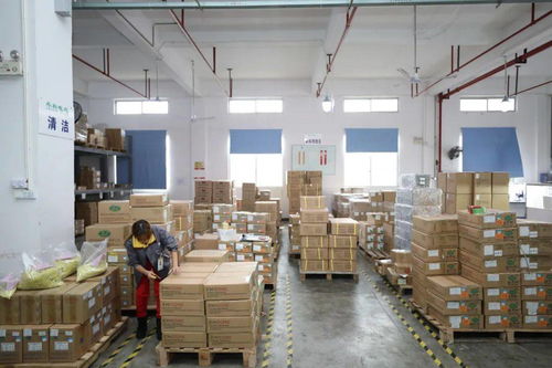 家門口的機遇 賓陽電子廠招工，提供食宿，探索互聯網銷售新方向