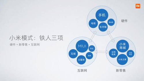 雷軍的痛苦與小米的逆轉 解碼互聯網銷售背后的關鍵邏輯