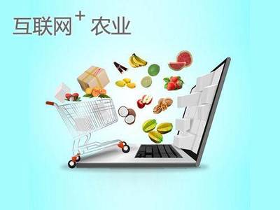 網紅帶貨日入四萬 如何將流量轉化為可持續的財富？